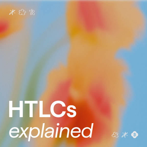 What are HTLCs?