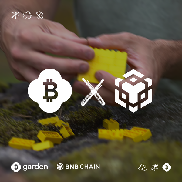 Bridge Bitcoin to BNB Chain in Seconds